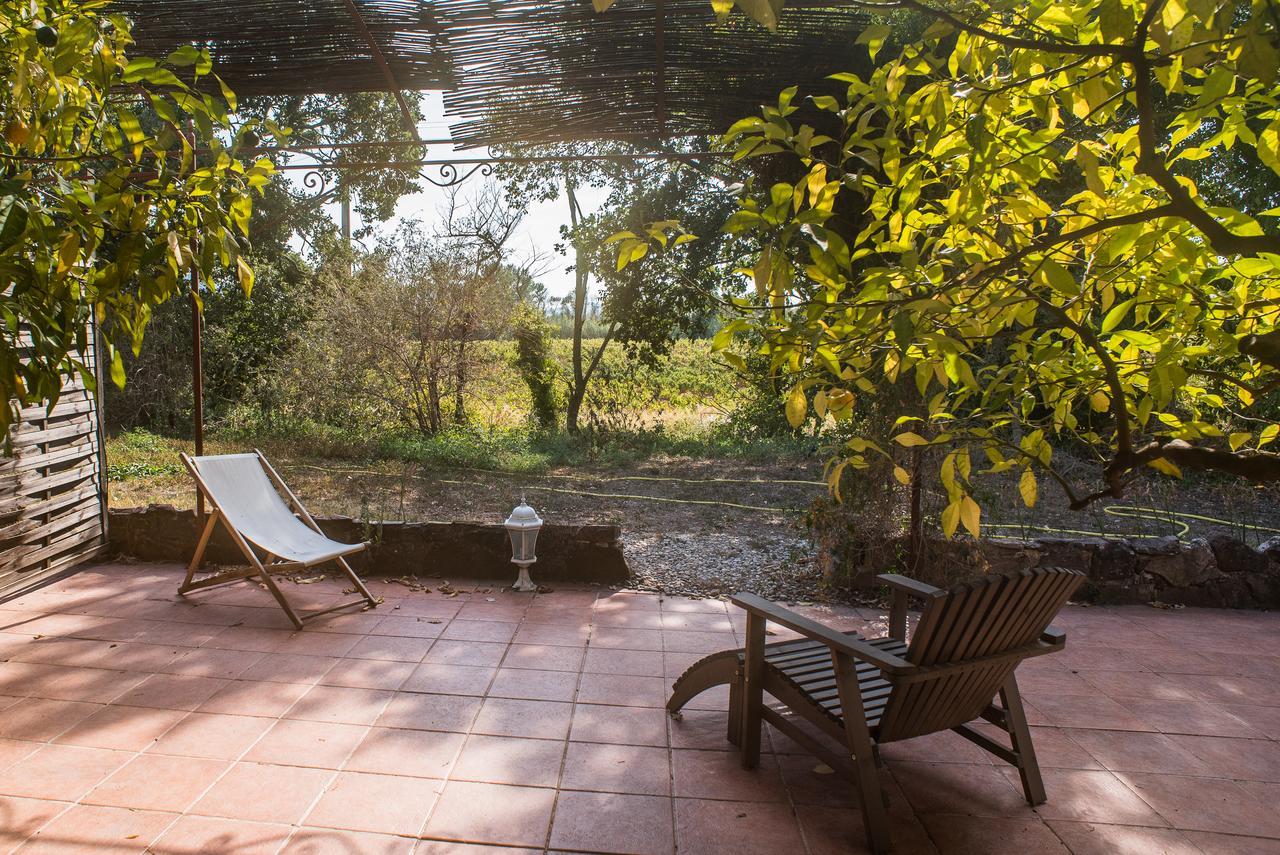 Domaine De La Marseillaise Apartamento La Crau Exterior foto